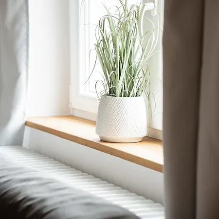 Apartment Freyzeit