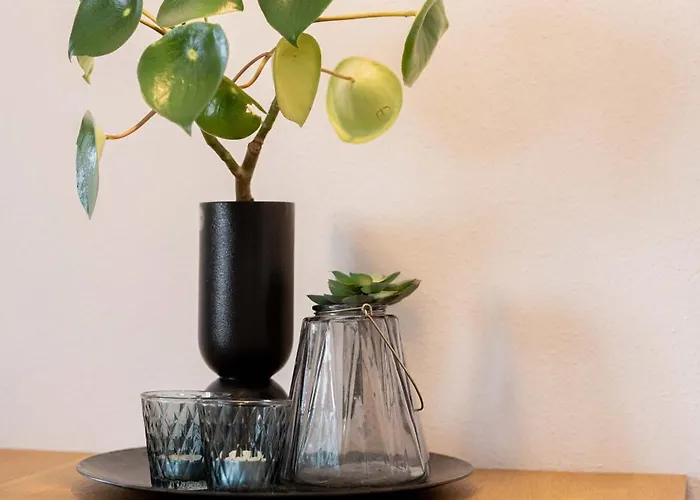 Freyzeit Appartement